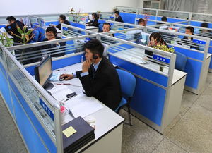 深圳市福爾康數碼經銷批發部公司簡介